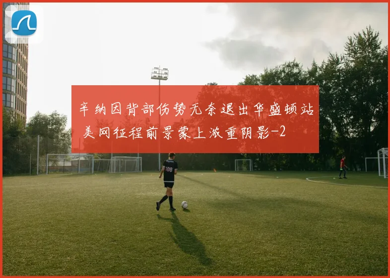 辛纳因背部伤势无奈退出华盛顿站 美网征程前景蒙上浓重阴影