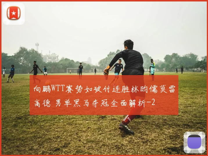 向鹏WTT赛势如破竹连胜林昀儒莫雷高德 男单黑马夺冠全面解析