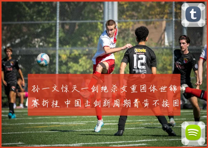 孙一文惊天一剑绝杀女重团体世锦赛折桂 中国击剑新周期青黄不接困境触发深层反思